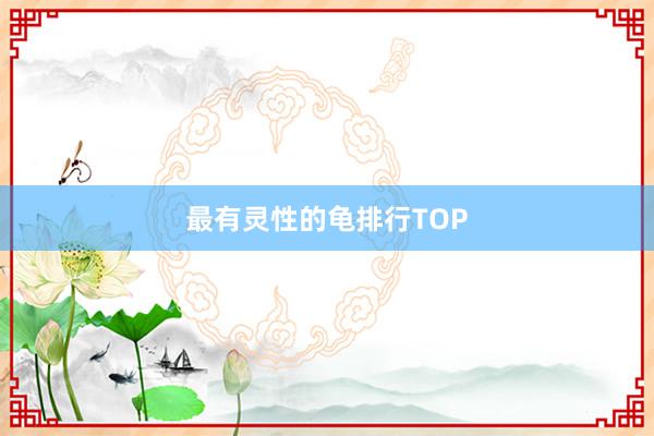 最有灵性的龟排行TOP